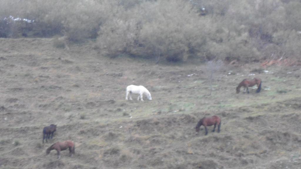 El Rincon De Zaldierna Dış mekan fotoğraf